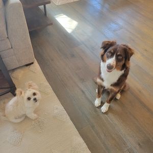 Meet your Posher, Virginia